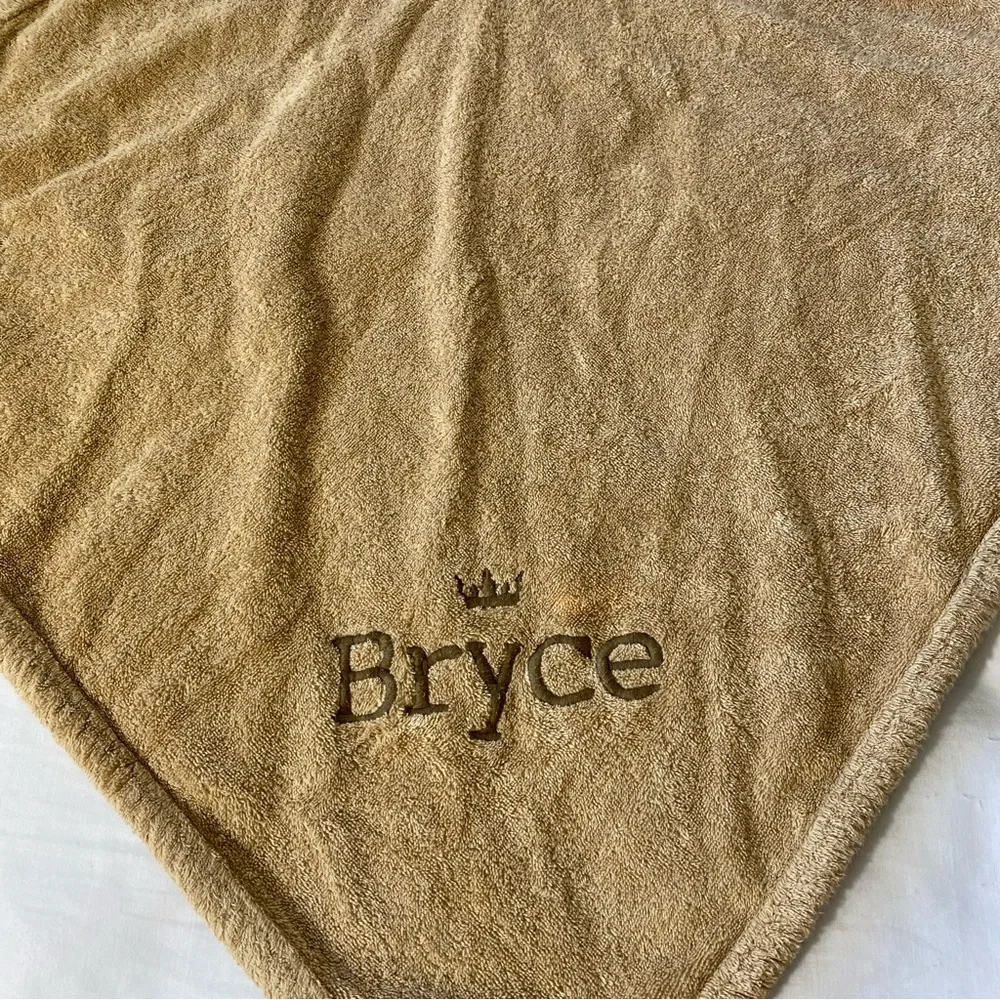 Restoration Hardware Baby and Child Brown Dog Hooded Towel Baby Bryce